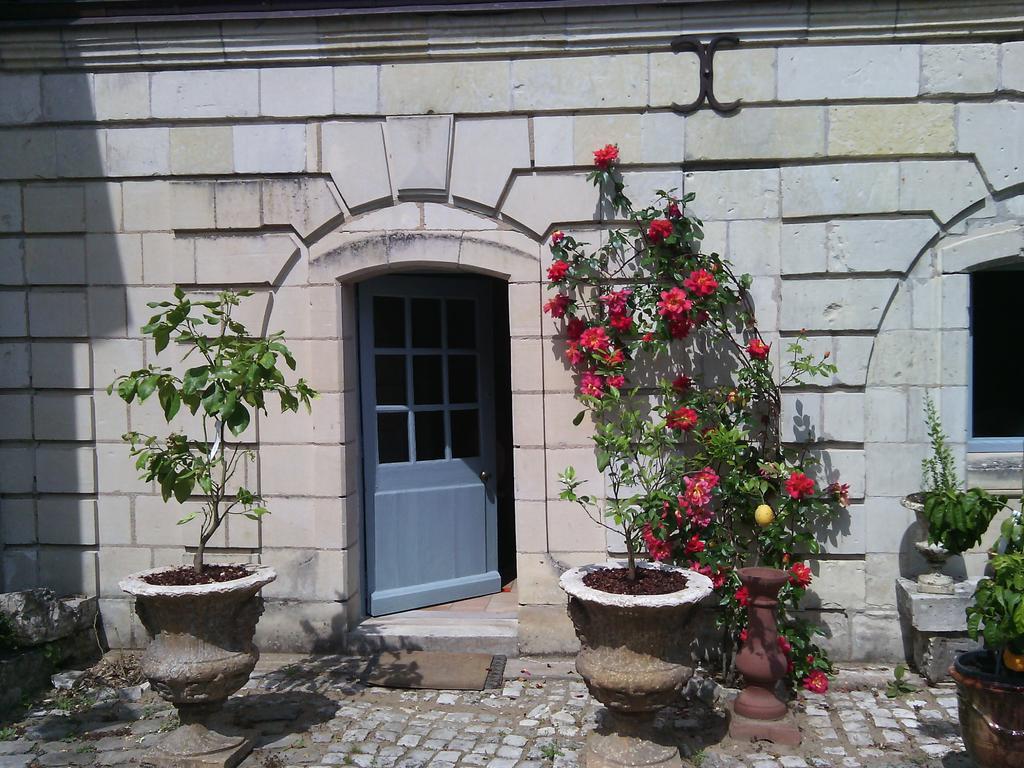 Les Douves Bed & Breakfast Onzain Exterior photo